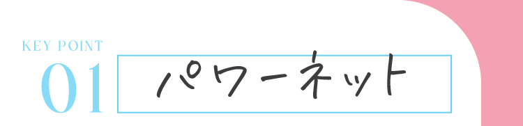 KEY POINT 01 パワーネット