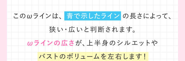 このωラインは、青で示したラインの長さによって、狭い・広いと判断されます。 ωラインの広さが、上半身のシルエットやバストのボリュームを左右します！