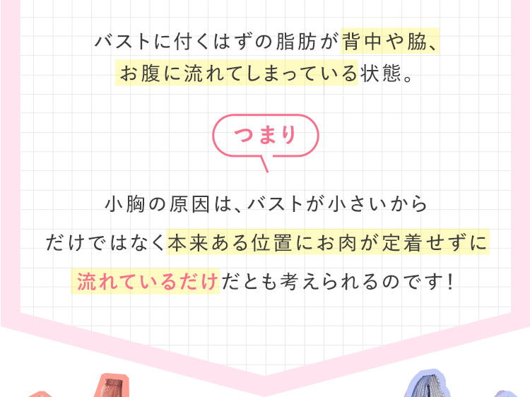 バストに付くはずの脂肪が流れてしまっている状態。 つまり 小胸の原因は、バストが小さいからだけではなく本来ある位置にお肉が定着せずに流れているだけだとも考えられるのです！ 