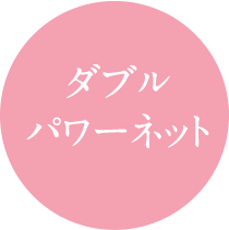 ダブルパワーネット